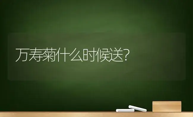 万寿菊什么时候送？ | 绿植常识