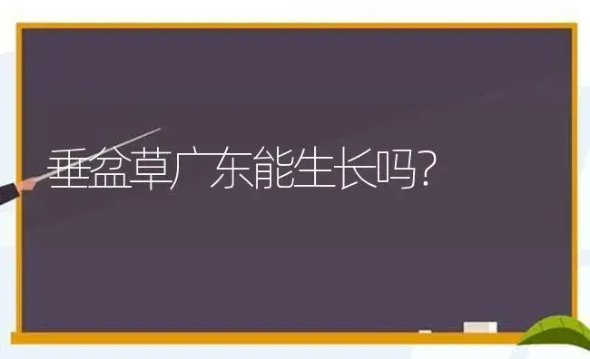 垂盆草广东能生长吗？ | 多肉养殖