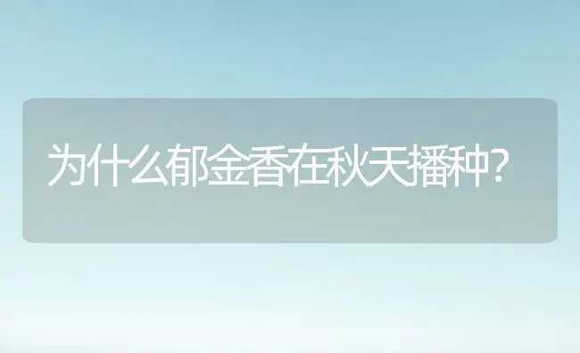 为什么郁金香在秋天播种？ | 绿植常识