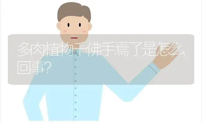 多肉植物千佛手焉了是怎么回事？ | 多肉养殖