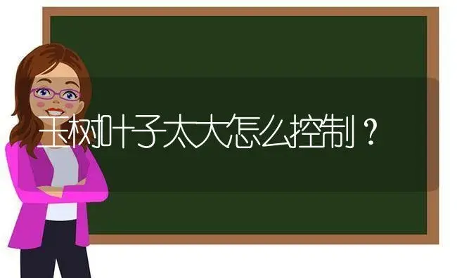 玉树叶子太大怎么控制？ | 多肉养殖