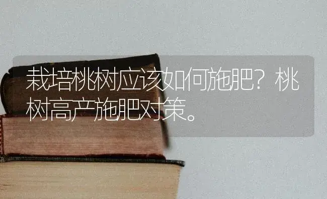 栽培桃树应该如何施肥？桃树高产施肥对策。 | 果木种植