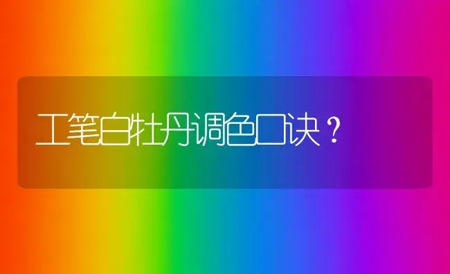 工笔白牡丹调色口诀？ | 多肉养殖