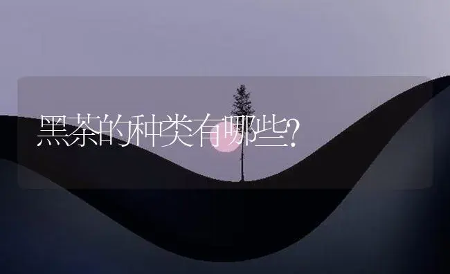 黑茶的种类有哪些？ | 农作物种植