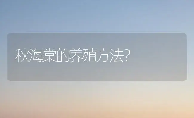 秋海棠的养殖方法？ | 绿植常识