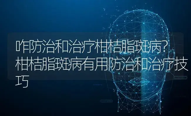 咋防治和治疗柑桔脂斑病？柑桔脂斑病有用防治和治疗技巧 | 果木种植