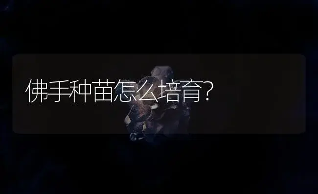 佛手种苗怎么培育？ | 药材种植