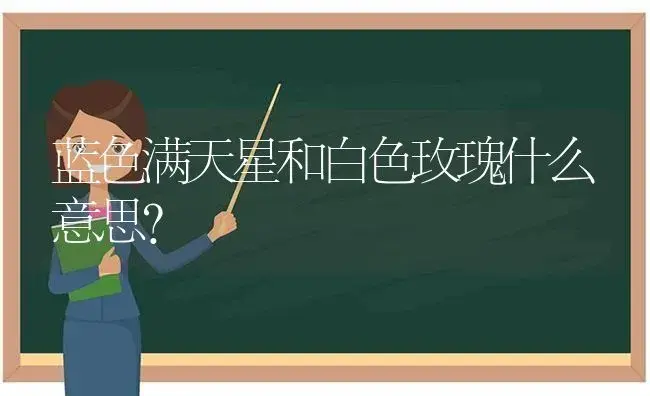 蓝色满天星和白色玫瑰什么意思？ | 绿植常识