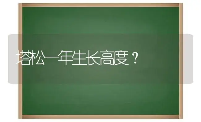 塔松一年生长高度？ | 多肉养殖