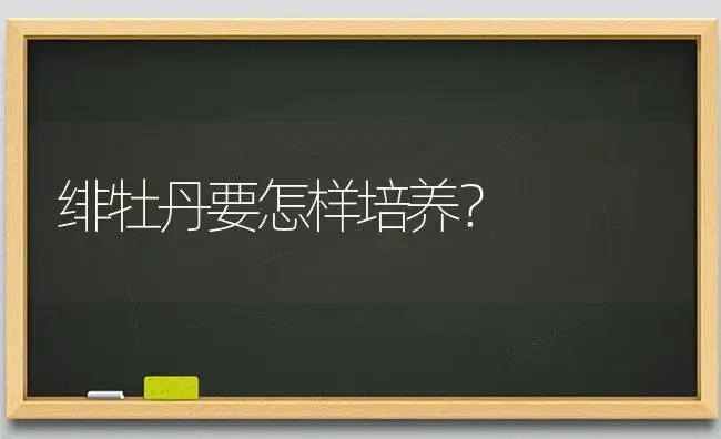 绯牡丹要怎样培养？ | 多肉养殖