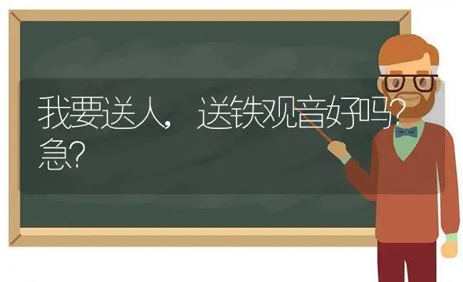 我要送人,送铁观音好吗？急？ | 绿植常识