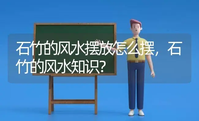 石竹的风水摆放怎么摆，石竹的风水知识？ | 绿植常识