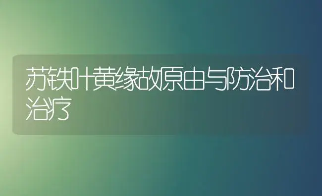 苏铁叶黄缘故原由与防治和治疗 | 家庭养花