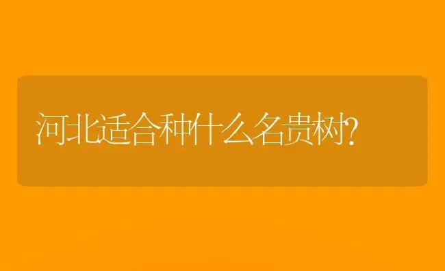 河北适合种什么名贵树？ | 绿植常识