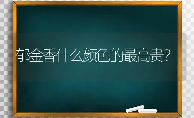 郁金香什么颜色的最高贵？ | 绿植常识