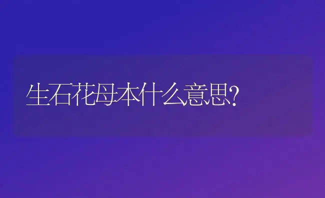 生石花母本什么意思？ | 多肉养殖