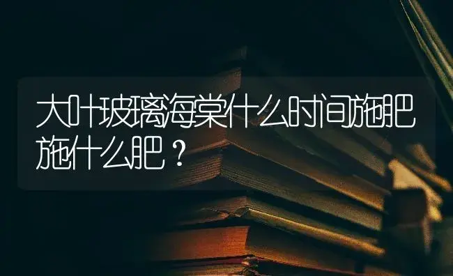 大叶栀子花可以暴晒吗？ | 绿植常识