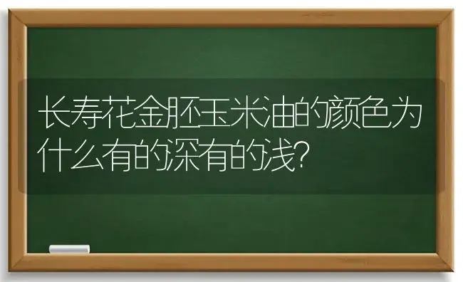 长寿花金胚玉米油的颜色为什么有的深有的浅？ | 多肉养殖