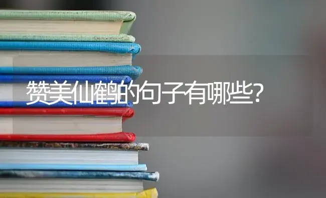 赞美仙鹤的句子有哪些？ | 多肉养殖