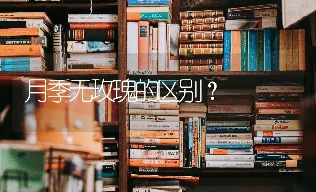 月季无玫瑰的区别？ | 绿植常识