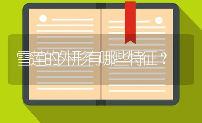雪莲的外形有哪些特征？ | 多肉养殖