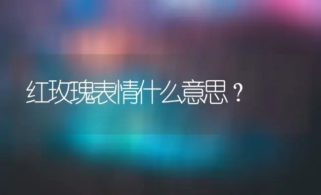 红玫瑰表情什么意思？ | 绿植常识