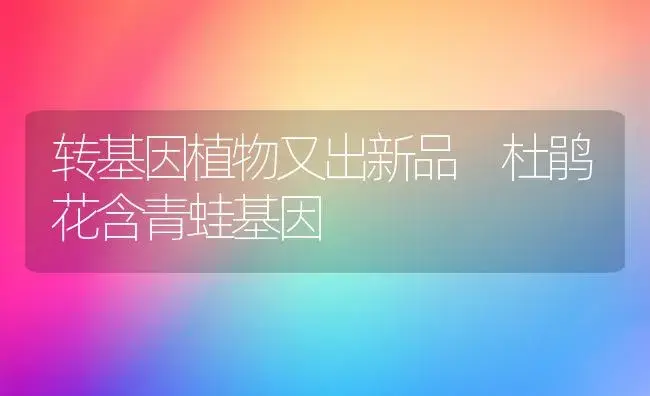 转基因植物又出新品 杜鹃花含青蛙基因 | 家庭养花
