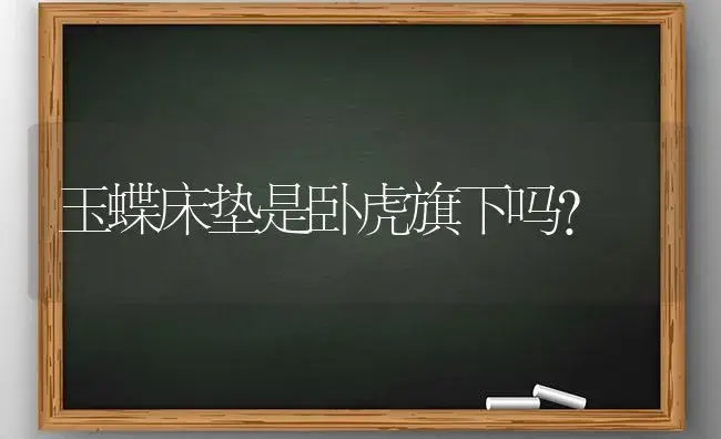 玉蝶床垫是卧虎旗下吗？ | 多肉养殖