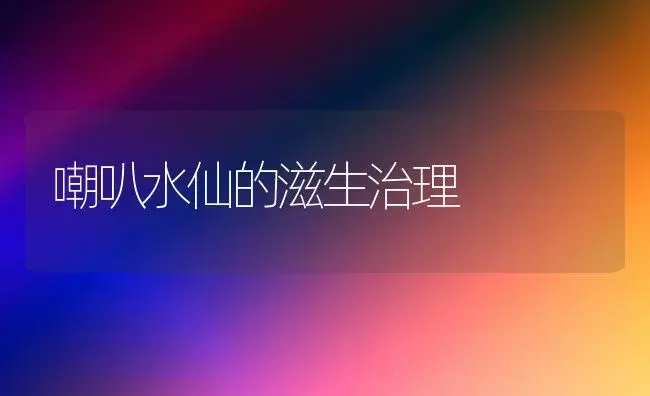 嘲叭水仙的滋生治理 | 家庭养花