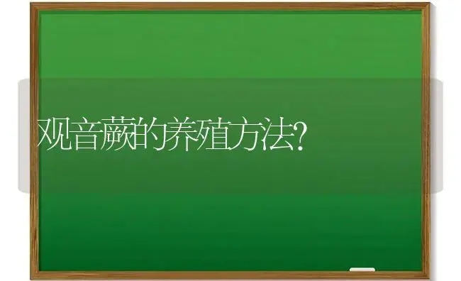 观音蕨的养殖方法？ | 多肉养殖