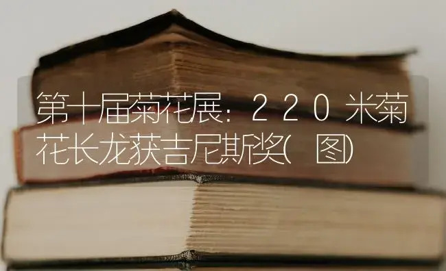 第十届菊花展：220米菊花长龙获吉尼斯奖(图) | 特种种植