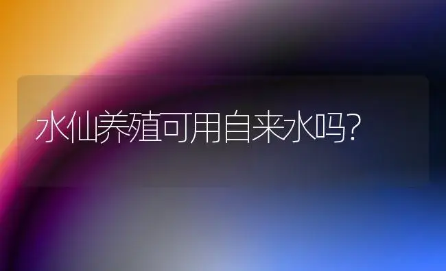 君子兰可以放在入户门正对面吗？ | 绿植常识