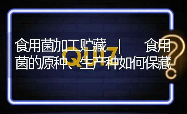 食用菌的原种、生产种如何保藏 | 菌菇种植