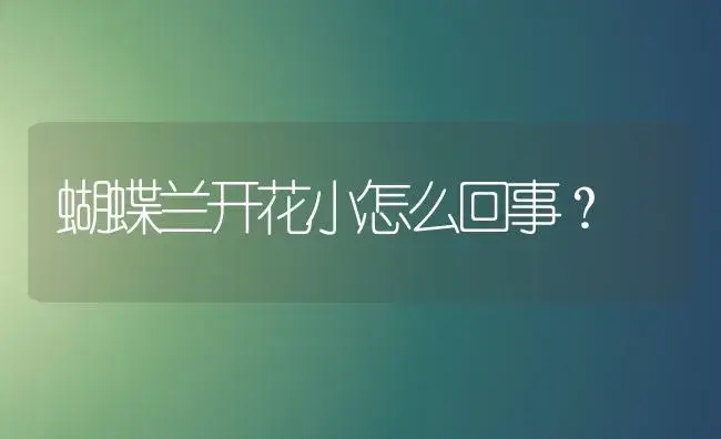 蝴蝶兰开花小怎么回事？ | 绿植常识