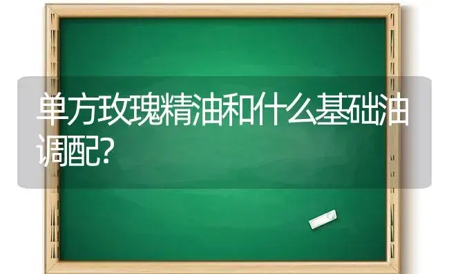 单方玫瑰精油和什么基础油调配？ | 绿植常识