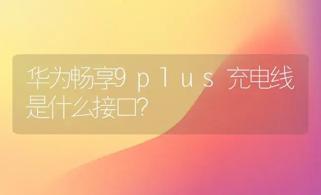 华为畅享9plus充电线是什么接口？ | 多肉养殖