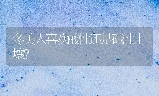 冬美人喜欢酸性还是碱性土壤？ | 多肉养殖