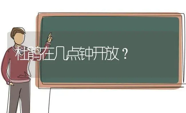 杜鹃在几点钟开放？ | 绿植常识