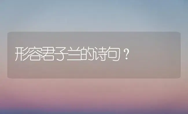 形容君子兰的诗句？ | 绿植常识