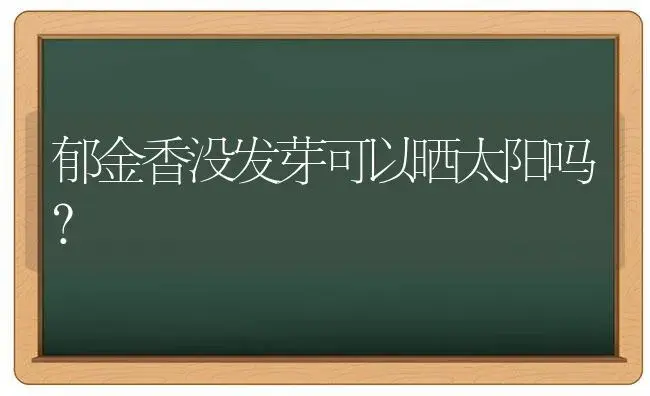 郁金香没发芽可以晒太阳吗？ | 绿植常识