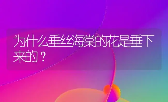 为什么垂丝海棠的花是垂下来的？ | 绿植常识