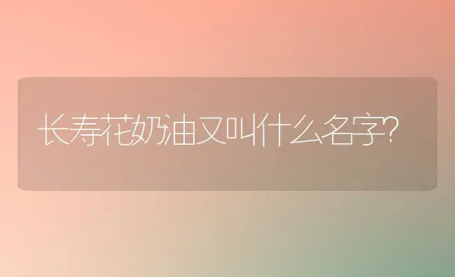 长寿花奶油又叫什么名字？ | 多肉养殖