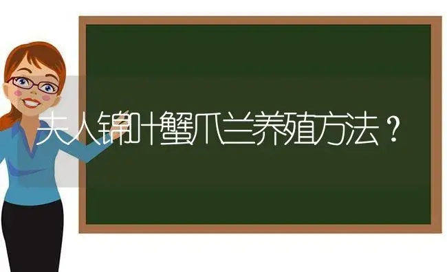 夫人锦叶蟹爪兰养殖方法？ | 多肉养殖