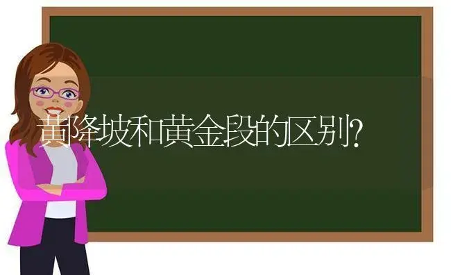 黄降坡和黄金段的区别？ | 多肉养殖