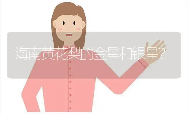 海南黄花梨的金星和银星？ | 多肉养殖