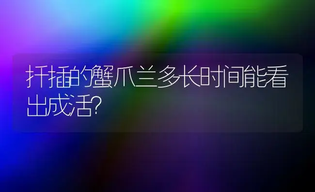 扦插的蟹爪兰多长时间能看出成活？ | 多肉养殖