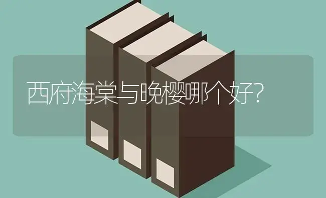 西府海棠与晚樱哪个好？ | 绿植常识