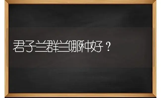 君子兰群兰哪种好？ | 绿植常识