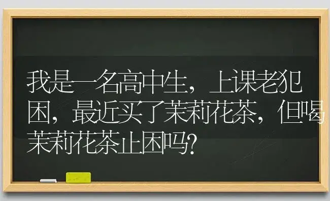 我是一名高中生，上课老犯困，最近买了茉莉花茶，但喝茉莉花茶止困吗？ | 绿植常识