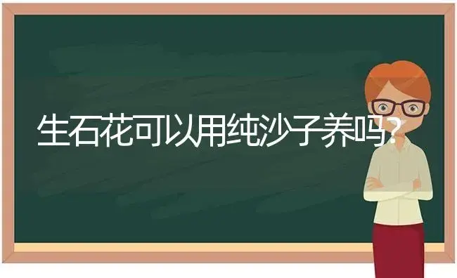 生石花可以用纯沙子养吗？ | 多肉养殖